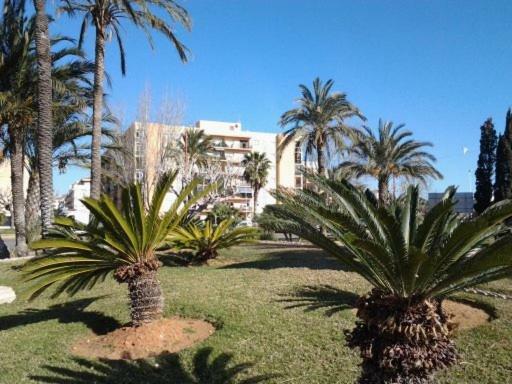 Primera Linea En Playa Sur. Plaza Constitucion Peñíscola Exterior foto